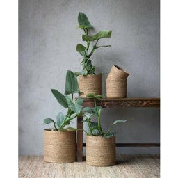 Wikholm Form Set di 5 Vasi Belle - Naturale - 1 set