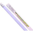 Neusius Pflanzenlampen Röhren 8w, 60cm - 1 Stk.