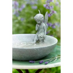 Wikholm Form Bañera para Aves Fairy - 1 pieza