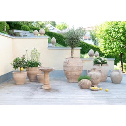 Wikholm Form Vaso Conchiglia Shell - 1 pz.