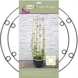 Haxnicks Cane Rings: Support for Climbing Plants - 2 items
