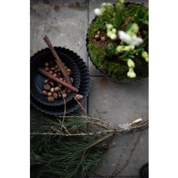 Wikholm Yrsa Pflanzschale - 1 Stk.