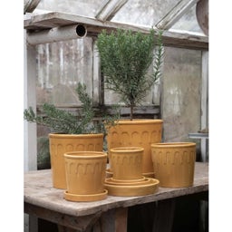 Wikholm Lykke Übertopf 2er-Set gelb - 1 Set