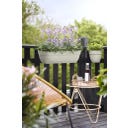 Balkonglåda Vibia Campana Easy Hanger XXL 70 Cm - Sidenvit