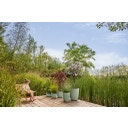 elho Pflanzentopf sereh rund 25cm - skandinavisches grün