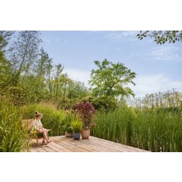 elho Pflanzentopf sereh rund 25cm - skandinavisches grün