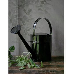 Wikholm Ariella Gießkanne schwarz - 1 Stk.