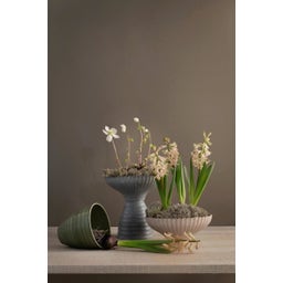 Wikholm Yodit Pflanzschale sand - 1 Stk.