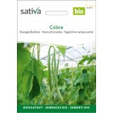 Sativa Organic Pole Bean "Cobra"