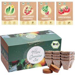 Sada bio semien zeleniny pre vyvýšené záhony a balkóny