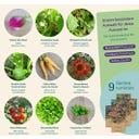 Magic Garden Seeds Seed Set - Rare Varieties - 1 Set