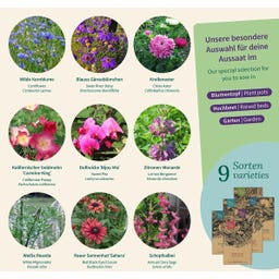 Magic Garden Seeds Seed Set - Balcony Flowers - 1 Set