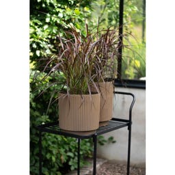 Wikholm Form Conjunto de 2 Vasos Ronja - 