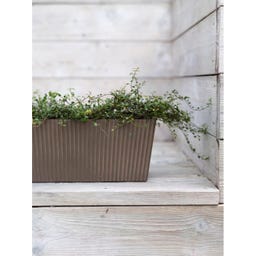 Wikholm Form Maceta Rectangular Ronja - Marrón