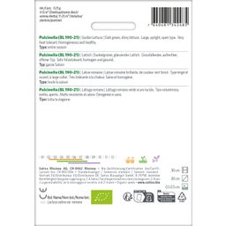 Sativa Bio Kopfsalat 