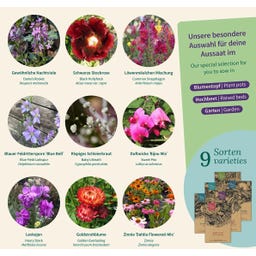Magic Garden Seeds Seed Set - Nostalgia Flowers - 1 Set