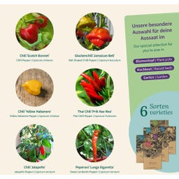 Magic Garden Seeds Seed Set - Chilli Festival - 1 Set