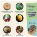 Magic Garden Seeds Seed Set - Fruit Orchard - 1 Set