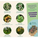 Magic Garden Seeds Seed Set - Magical Plants - 1 Set