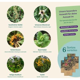 Magic Garden Seeds Seed Set - Magical Plants - 1 Set