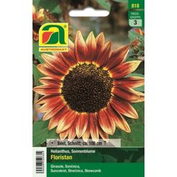 AUSTROSAAT Sunflowers- "Floristan" Mixture