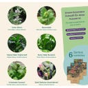 Magic Garden Seeds Seed Set - Tobacco Mix - 1 Set
