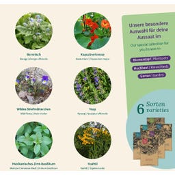 Magic Garden Seeds Seed Set - Edible Flowers - 1 Set