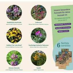 Magic Garden Seeds Duft Pflanzen - Samenset - 1 Set