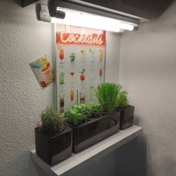 Neusius Pflanzenlampen Röhren 16w, 120 cm