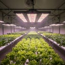 Neusius Pflanzlampe Floris 