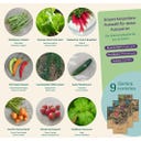 Magic Garden Seeds Seed Set - Balcony Vegetables - 1 Set