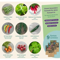 Magic Garden Seeds Seed Set - Balcony Vegetables - 1 Set