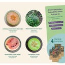 Magic Garden Seeds Jardin de Melons - Set de Graines - 1 kit