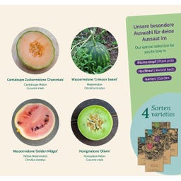Magic Garden Seeds Jardin de Melons - Set de Graines - 1 kit