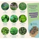 Magic Garden Seeds Herbes Aromatiques - Set de Graines - 1 kit