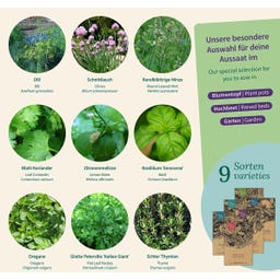 Magic Garden Seeds Herbes Aromatiques - Set de Graines - 1 kit