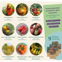 Magic Garden Seeds Tomates d’Exception - Set de Graines - 1 kit