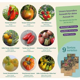 Magic Garden Seeds Tomates d’Exception - Set de Graines - 1 kit