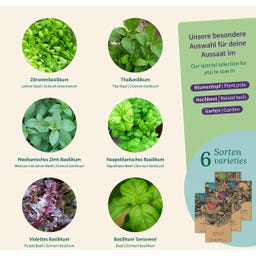 Magic Garden Seeds Basilikum Vielfalt - Samenset - 1 Set