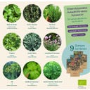 Magic Garden Seeds Küchenkräuter - Samenset - 1 Set