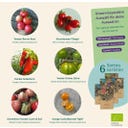 Magic Garden Seeds Bio Tomaten - Samenset - 1 Set