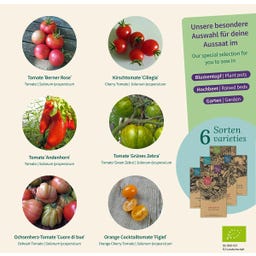 Magic Garden Seeds Bio Tomaten - Samenset - 1 Set