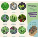 Magic Garden Seeds Klostergarten - Samenset - 1 Set