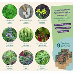 Magic Garden Seeds Klostergarten - Samenset - 1 Set