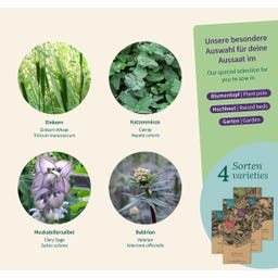 Magic Garden Seeds Katzenkräuter - Samenset - 1 Set
