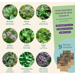 Magic Garden Seeds Erbe Selvatiche - Set di Semi - 1 set
