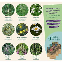 Magic Garden Seeds Erbe Monastiche - Set di Semi - 1 set