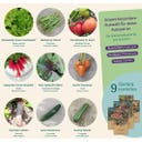 Magic Garden Seeds Warzywa ogrodowe - zestaw nasion - 1 zestaw