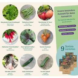 Magic Garden Seeds Warzywa ogrodowe - zestaw nasion - 1 zestaw