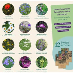 Magic Garden Seeds Łąka kwietna - zestaw nasion - 1 zestaw